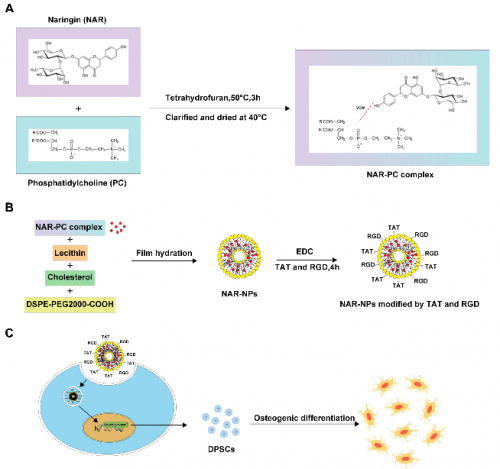 研究过程示意图
