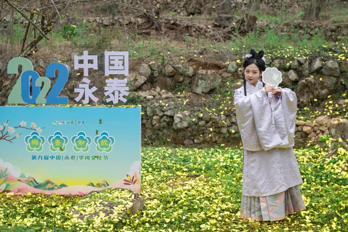 ▲第九届中国（永泰）李梅文化节梅园汉服秀