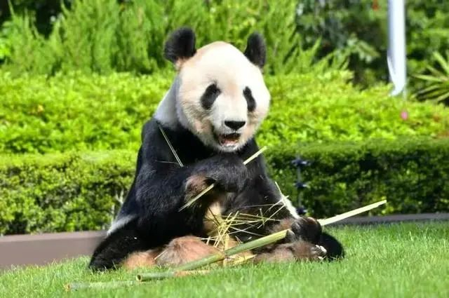 图源 海外网