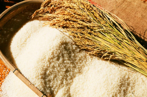 　　图为2022年五常大米新米