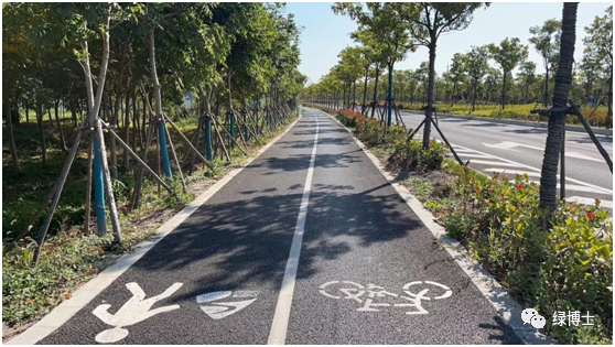 崇明生态大道绿道（新河镇段）