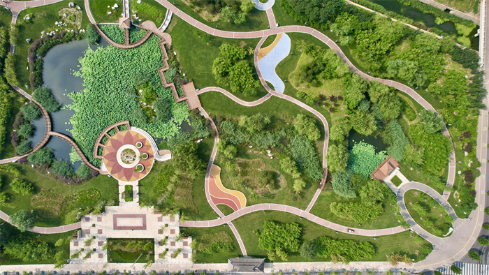 复兴区千米竹林。复兴区融媒体中心供图。