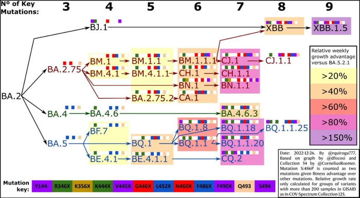 新冠病毒进化路线图（图片来源：Rodrigo Quiroga）
