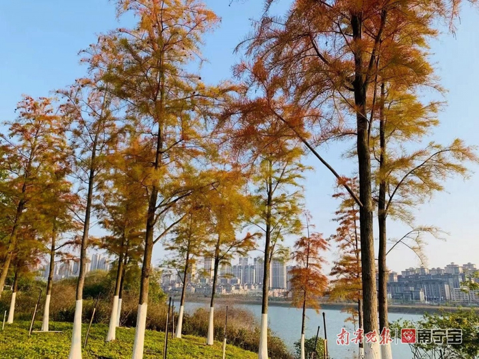 邕江龙岗大桥南岸附近。记者 宋延康 摄