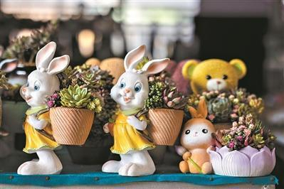 兔年即将来临，花市随处可见兔子花盆。 陈忧子摄