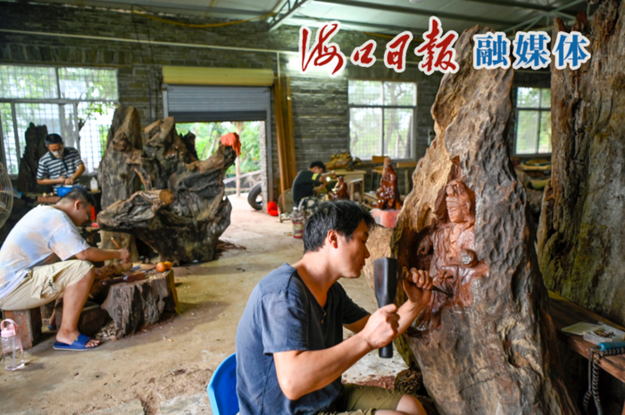 　　2022年9月14日，雕刻师在海南省工艺美术协会秀英区石山镇美玉村创作基地创作根雕艺术。海口日报融媒体记者 石中华 摄
