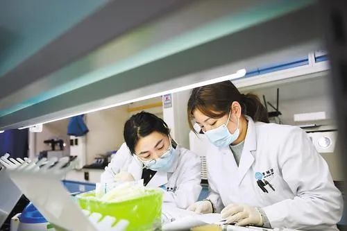 在位于固安高新区的国科赛赋河北医药技术有限公司，科研人员在实验室进行生物样本前处理。