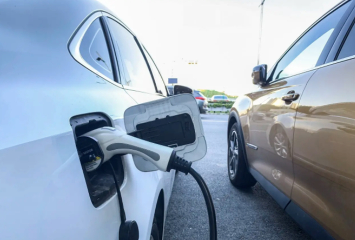 图片来源网络 侵权请联系删除