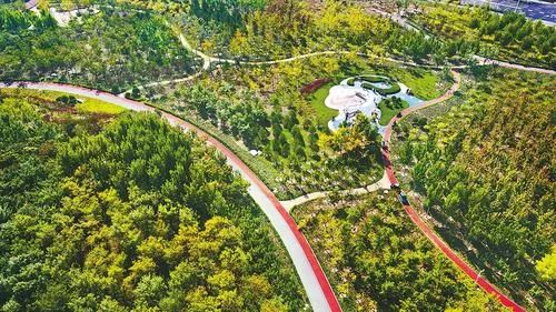 俯瞰廊坊临空经济区临空秀林景观。