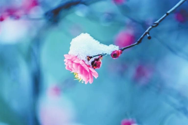 （本文图片均为资料图）