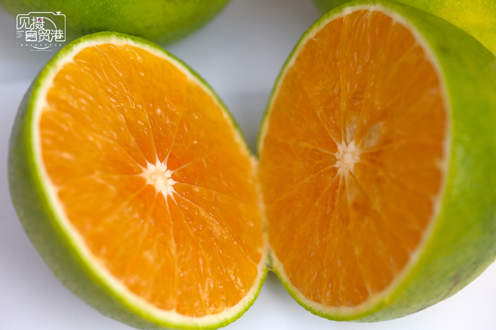 琼中绿橙皮薄多汁。海南日报记者 李天平 摄