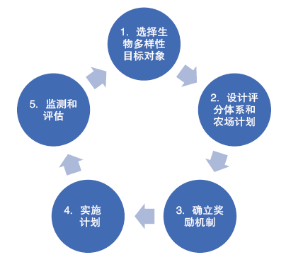 图1 农业环境计划试点项目实施的五个步骤