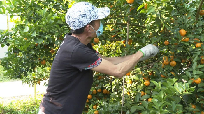 △图源 四会发布