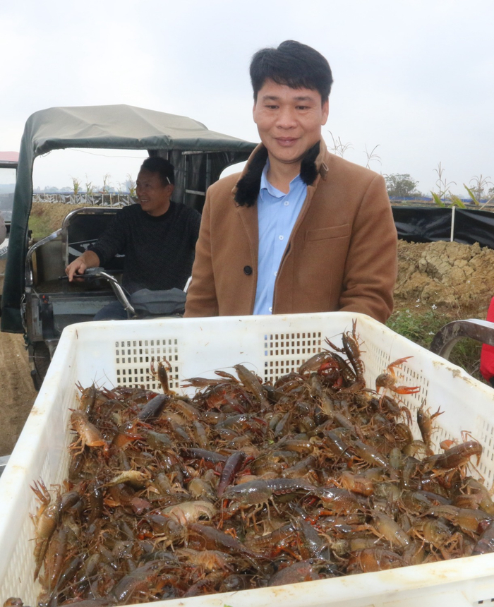 “反季节富硒小龙虾”丰收（叶宏摄）