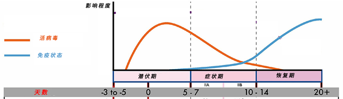 图注：这是大多数人被奥密克戎感染的病程图。个别人可能在症状消失之后几个星期甚至几个月的时间内，依旧有病毒的残留。
