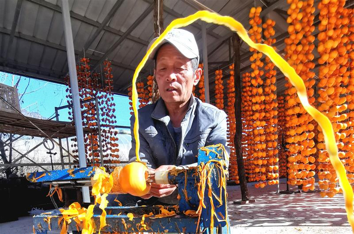 工人一气呵成，熟练操作机旋柿饼。王家臣摄