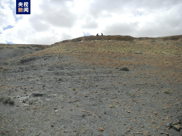 △藏南曲布剖面二叠纪末期黑色页岩