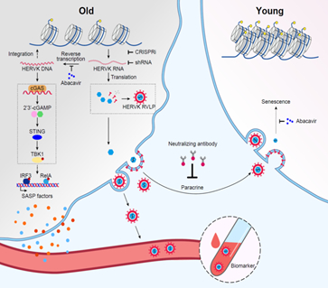 图片来源：央视新闻