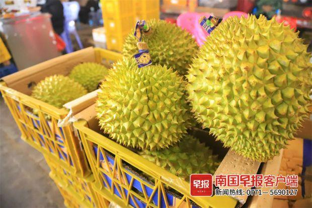 ▲越南进口的干尧榴莲香味浓烈，数米外仍可闻到。南国早报客户端见习记者 覃玉富 摄