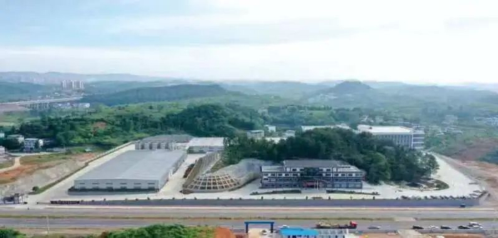 贵州山茶产业综合开发有限公司 周俊杰供图