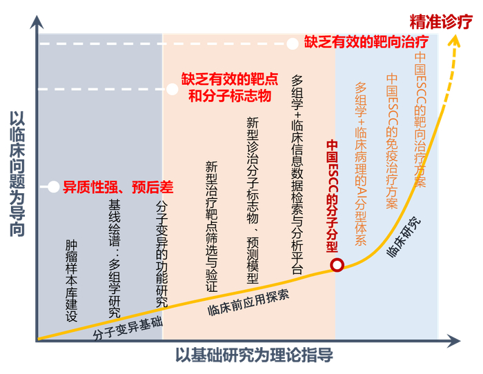 图1 ESCC精准诊疗研究路径受访单位供图