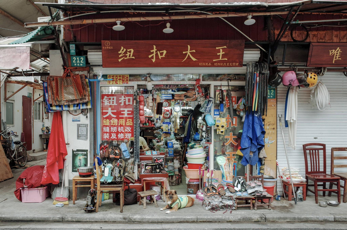 梦花街“纽扣大王”搬迁前，小狗“来宝”在店门口。 澎湃新闻记者 陈悦 图