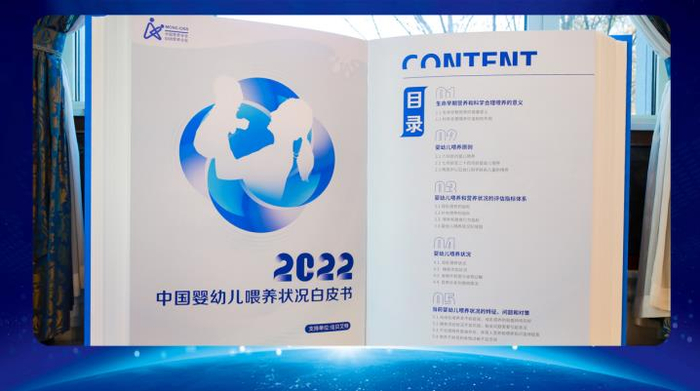 《白皮书》目录展示