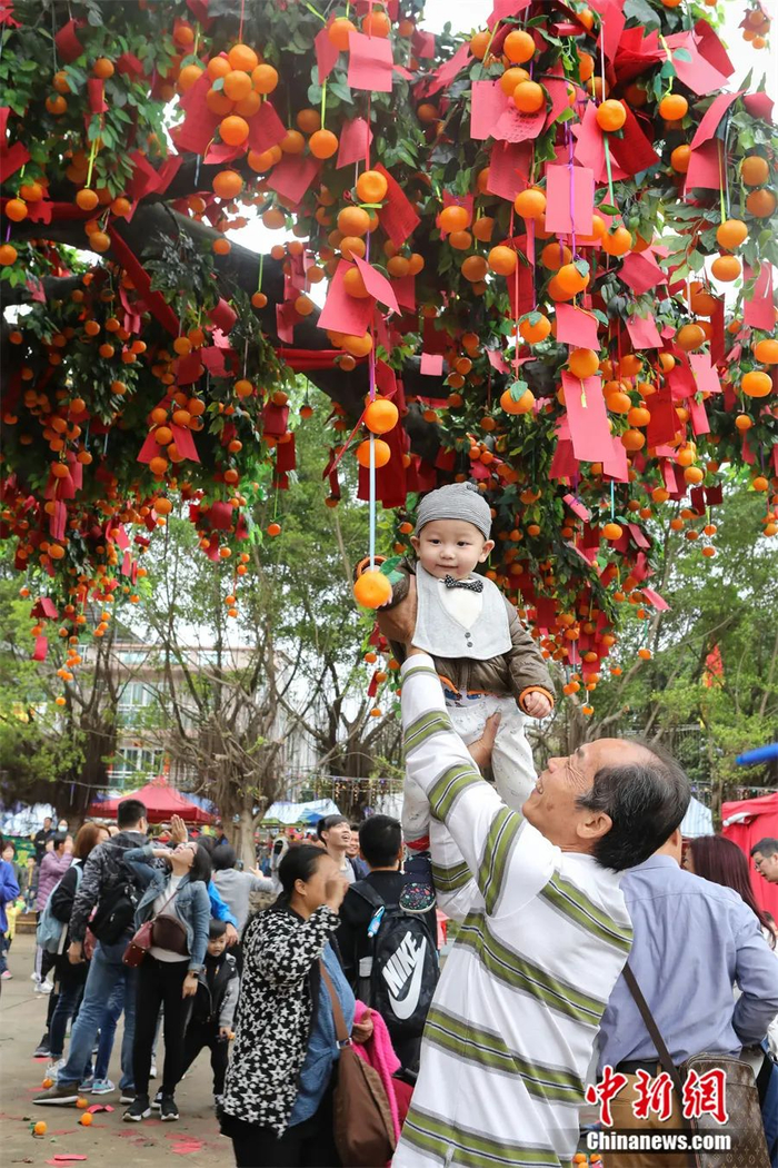 图为大埔林村许愿树。谢光磊 摄 