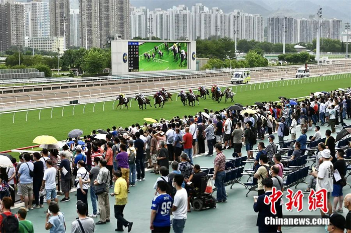 图为香港马场。李志华 摄 