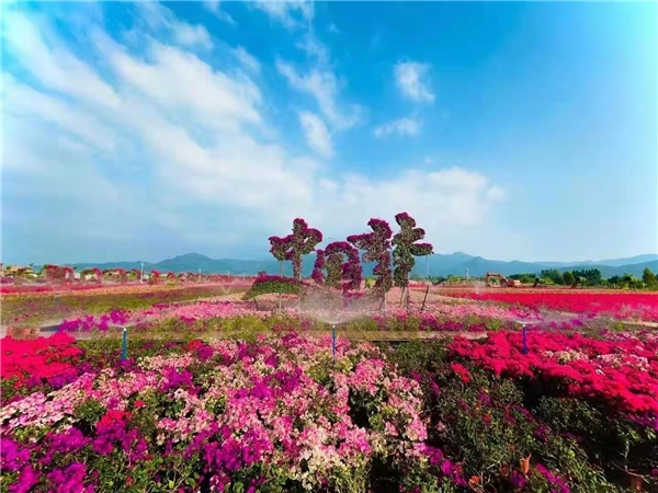 　　花梨谷国际共享农庄