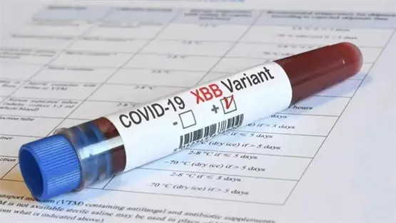 （图源：网络）