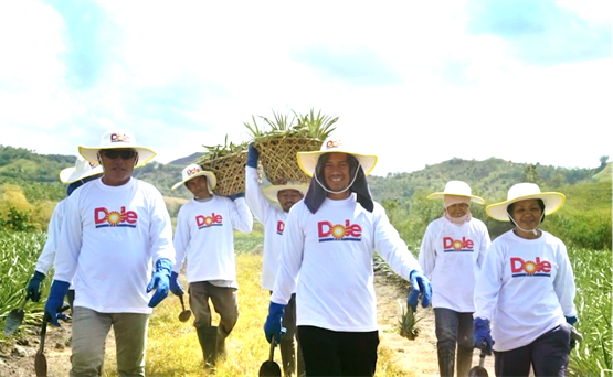 　　都乐为菲律宾当地创造了就业机会