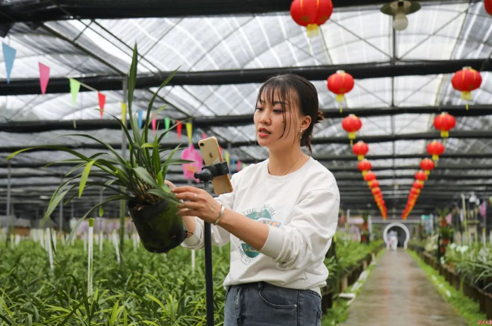 △企业工作人员进行现场直播销售。西江日报记者 梁小明 摄