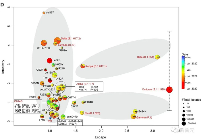 刺突蛋白进化路径