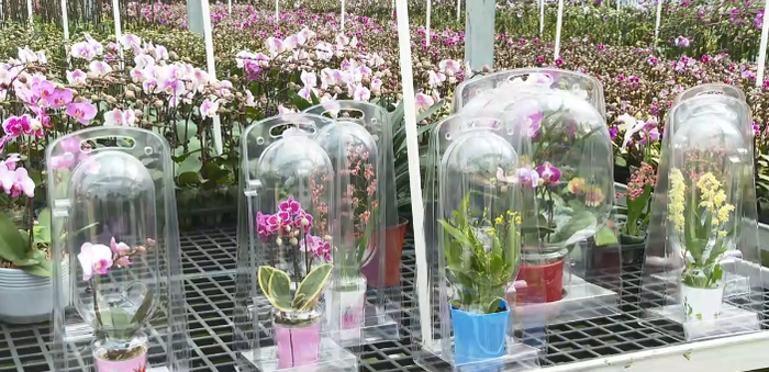 △以上六图源 四会发布