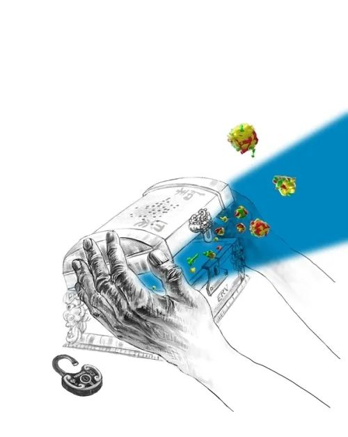 图3.内源性古病毒复活驱动开启衰老“潘多拉魔盒”