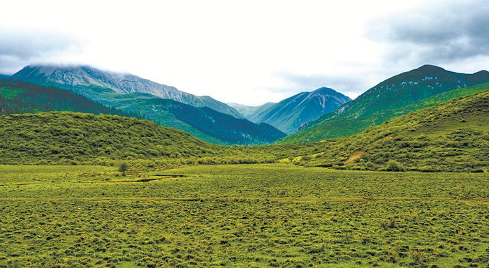 松潘草原 四川省林草局供图