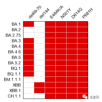 武大团队发现的6个共性突变位点在Omicron流行株（纵向标记）中均有很大程度的保留（红色表示该位点保留）。