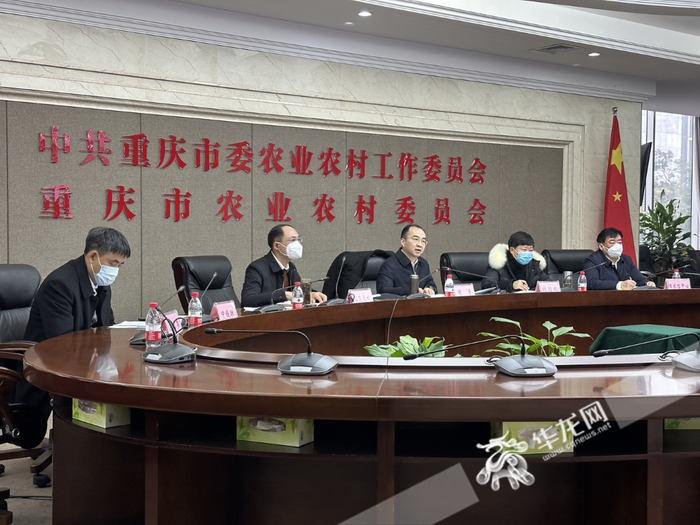 “农品慧”平台推广培训会议现场。华龙网-新重庆客户端 余志斌 摄