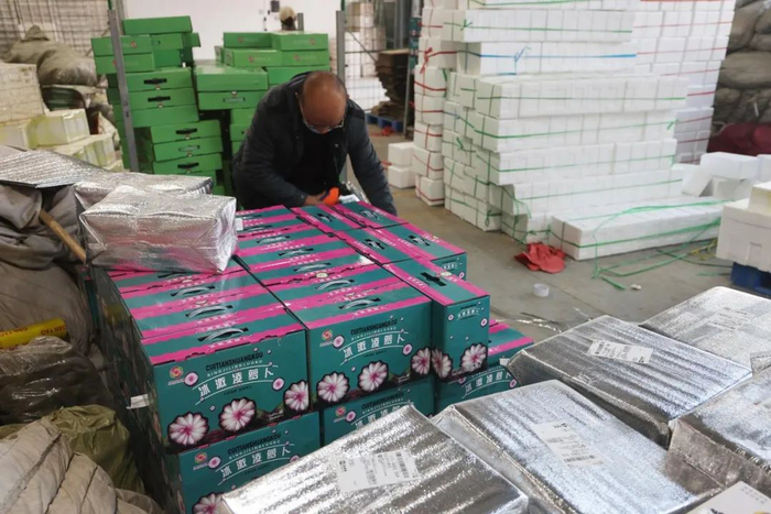 寿光物流园里，网红产品冰激凌萝卜已完成包装，即将发往全国各地。 本报记者莫鑫 摄