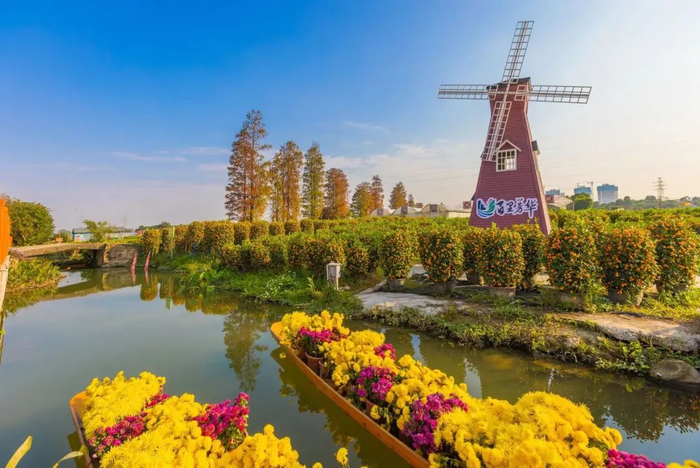 陈村水上花市。周焯杰/摄