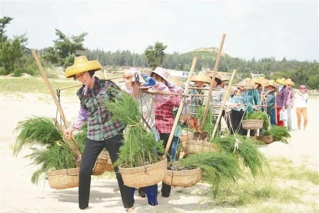 在昌江棋子湾海岸边，陶凤交（左一）带领姐妹们植树造林。（海南日报资料图片）