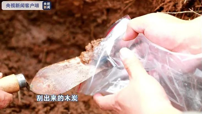 ▲楚长城河南叶县段人工墙体发现的炭化木棍。（图片来源：央视新闻）