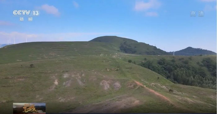 ▲楚长城河南叶县9段，该段长城遗址明显看到是沿山脊线走向。（图片来源：央视新闻）