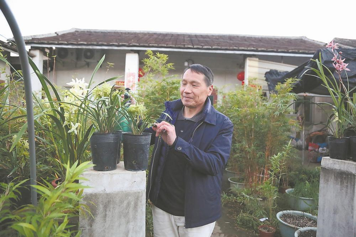 南坑镇村民张森苗在庭院内种植兰花。李小琴 摄