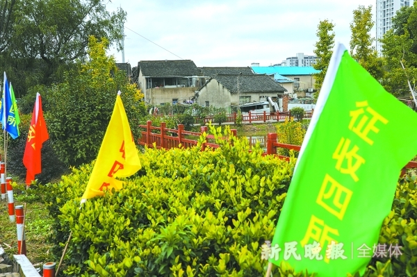 图说：浦东新区康桥镇花墙村中即将被征收的地块。新民晚报记者 周馨 摄