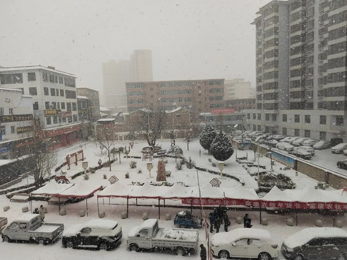 13日凌晨，康乐出现降雪天气（图：李娟）