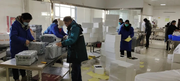 1月8日，尉犁县邮政分公司行政人员在亦禾食品有限公司牛羊肉冷库厂房内协助打包。来源：新疆邮政微发布