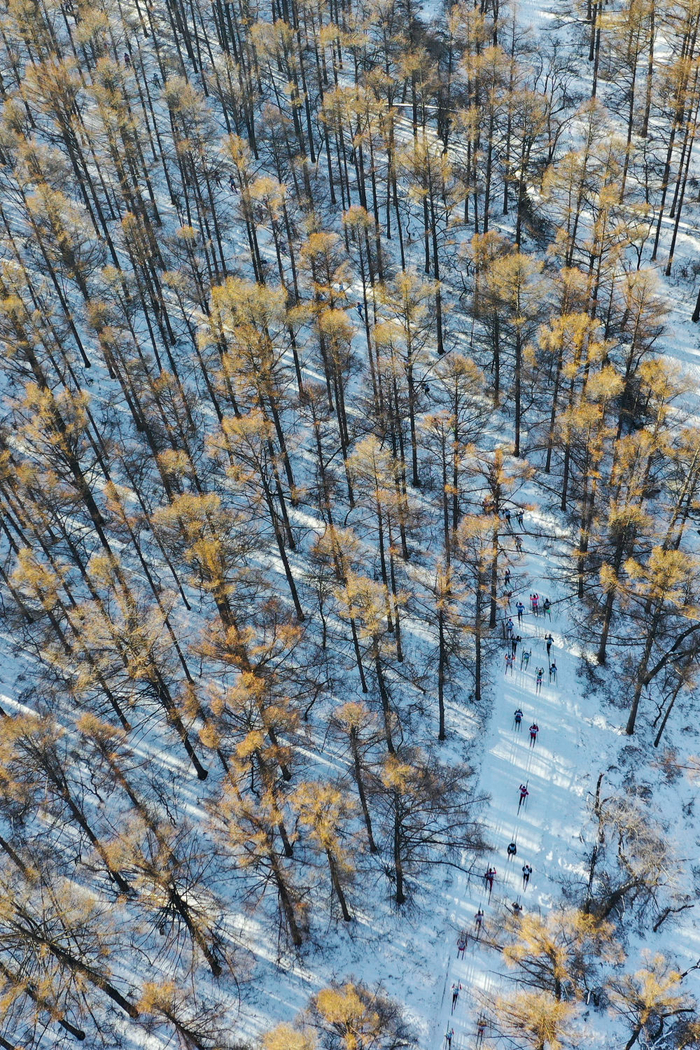 1月4日，滑雪爱好者竞逐中国长春净月潭瓦萨国际滑雪节。新华社记者许畅摄
