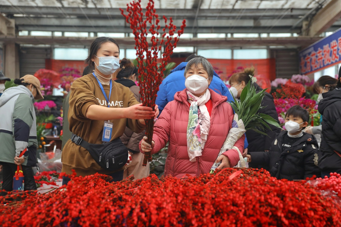 2023年1月13日，市民在山东省青岛市李村大集挑选年宵花。